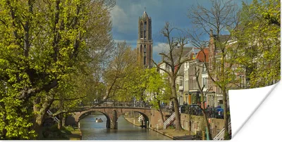 Produktbild von MuchoWow® Poster Pflanzen - Utrecht - Wasser 80x40 cm - Wanddeko