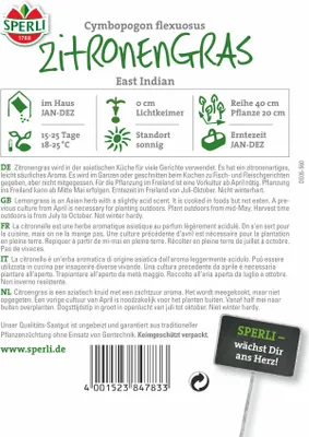 Produktbild von SPERLI Zitronengrassamen East Indian Cymbopogon flexuosus 150 Pflanzen
