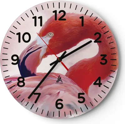 Produktbild von Wanduhr - Rund - Glasuhr - Flamingo Vogel Porträt - 40x40cm - Schleichendes Uhrwerk - Lautlos - zum Aufhängen bereit - Dekoration Modern - Wanddekoration aus Glas - C4AR40x40-4984