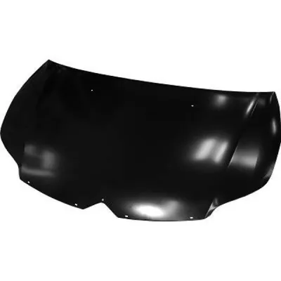 Produktbild von Diederichs Motorhaube C4, 09-10
