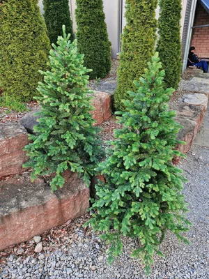 Produktbild von artplants.de Unechter Tannenbaum HILMEND, 240cm, Ø140cm - Kunststoff Tannenbaum