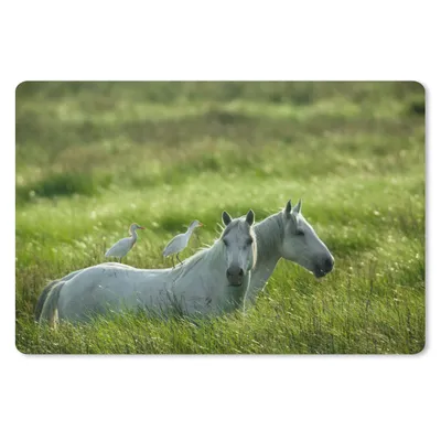 Produktbild von MuchoWow® Schreibtischunterlage Pferde - Vogel - Gras 60x40 cm - XXL Mauspad - Großes Mauspad