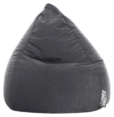 Immagine prodotto di Easy L beanbag nero, colore:antracite