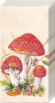 Produktbild von TOAD Cream Papiertaschentücher PT1011560