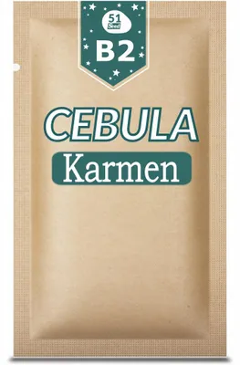 Obrázok produktu pre 51Seed B02, odroda KARMEN, cibuľa, 3G