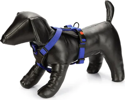 Produktbild von Karlie Art Sportiv Premium Y-Geschirr - Hundegeschirre - Nylon - Blau - 60-76x2,5 cm