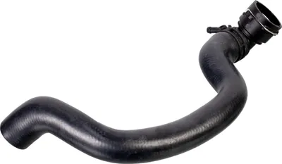 Produktbild von FEBI BILSTEIN Kühlerschlauch Wasserschlauch für VW Golf V Schrägheck (1K1) 31 175566