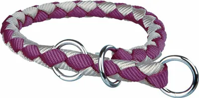 Obrázek produktu pro Obojek pro psy Trixie hnědý stříbrný 25-31 cm 25-31cm 25 x 31 cm