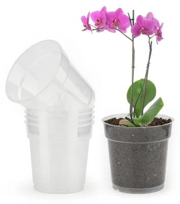 Produktbild von Orchideentöpfe transparent 6 Stück 11,5 cm Kunststoff mit Drainageloch