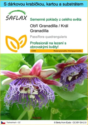 Obrázek produktu pro SAFLAX Dárková sada - Obří Granadilla / Král Granadilla - Passiflora quadrangularis - 12 Semena - S dárkovou krabičkou, přepravním štítkem, dárkovou kartou a pěstebním médiem