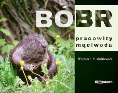 Immagine prodotto di Bóbr pracowity mąciwoda