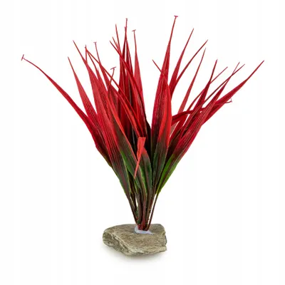 Image de Plante d'aquarium artificielle, 25 cm, avec pierre naturelle