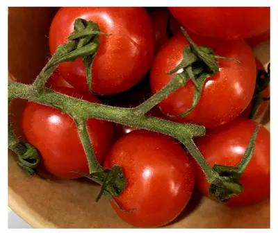 Produktbild von Mexikanische Honigtomate 10 Samen