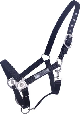 Produktbild von Halfter unterlegt Schwarz Pony