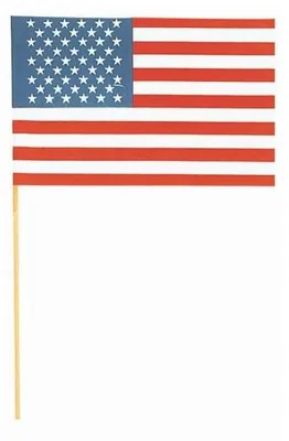 Produktbild von Amscan USA Fahne 15 x 22 cm