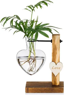 Image de Vase bourgeon en verre Vase en verre hydroponique avec support en bois 1Vase cœur