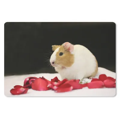 Produktbild von MuchoWow® Schreibtischunterlage Liebes Meerschweinchen 60x40 cm - XXL Mauspad - Großes Mauspad