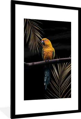 Produktbild von MuchoWow® MuchoWow® Gerahmtes Poster Papagei - Farn - Zweig 60x90 cm - Poster mit zchwarzem Bilderrahmen - Dekoration - Wandposter Wohnzimmer - Hochwertig