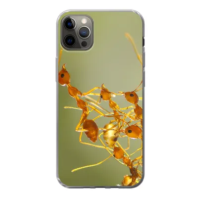 Produktbild von MuchoWow® Handyhülle Schutzhülle Hülle für iPhone 12 Pro Max Ameisen - Orange - Tiere Silikon Softcase Handy Hülle - Hartschale