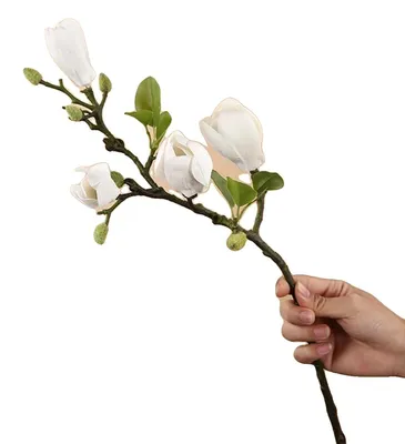 Produktbild von Künstliche Blumen, Seidenmaterial, Ideal für Feiern, WEISS, 3 Stück-a