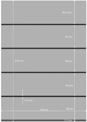Produktbild von PRINZ Premium Steckkarten, 148 x 210 mm, 5-Streifen, 50 Stück