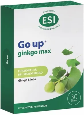 Produktbild von Go Up Ginkgo Max – Hochdosierter Ginkgo-biloba-Extrakt 240 mg - vegan, glutenfrei & ohne Farbstoffe