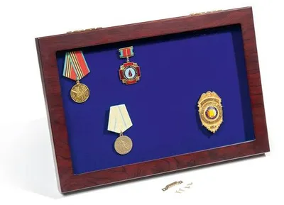 Produktbild von Vitrine MILITARIA mit Glasdeckel und Aufstellfunktion