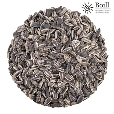 Produktbild von 25 kg. Boill  Sonnenblumenkerne 100% gestreift - Vogelfutter direkt vom Hersteller