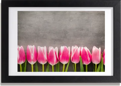 Produktbild von Bild 30x20 MDF-Rahmen, Wandkunst rosa Tulpen