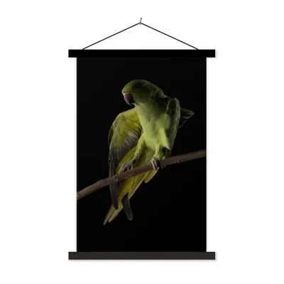 Produktbild von MuchoWow® Textilposter Papagei - Vogel - Zweig 60x90 cm mit schwarzem Rahmen - Poster Wohnzimmer