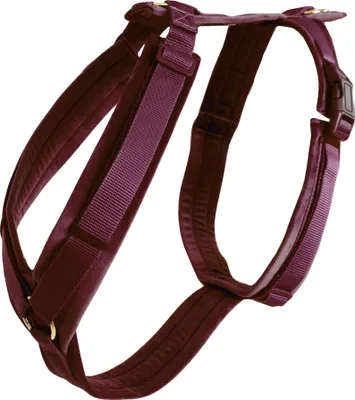 Produktbild von Kentucky Dogwear Hundegeschirr Aktiv Velvet Samt Bordeaux M (30-48cm)