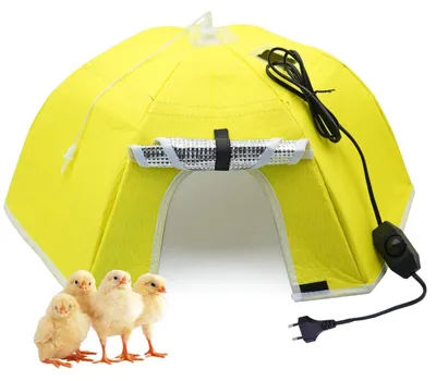 Aufzuchtplatte für Küken, 55 cm, gelb, mit Sichtfenster, 30 W