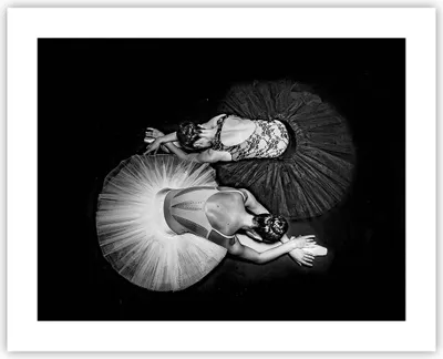 Produktbild von Poster - Poster ohne Rahmen - Ballerinas Ballett Tanz - 50x40 cm - Wand Bild - Wanddeko - Wandbilder - Kunstposter - Wandposter - Bilder - Kunstdruck - Wanddekoration - Wandbild - P2XAA50x40-5050