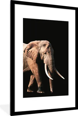 Produktbild von MuchoWow® MuchoWow® Gerahmtes Poster Elefant - Schwarz - Grau 60x90 cm - Poster mit zchwarzem Bilderrahmen - Dekoration - Wandposter Wohnzimmer - Hochwertig