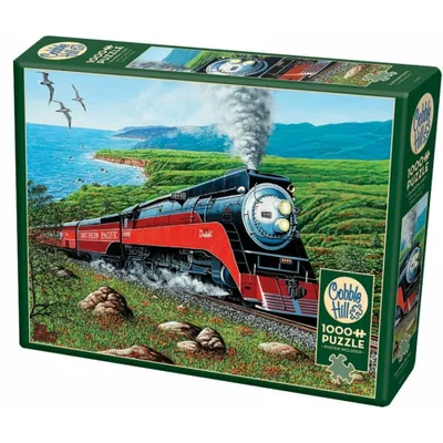 Zdjęcie produktu dla Cobble Hill Southern Pacific, 1000 szt.