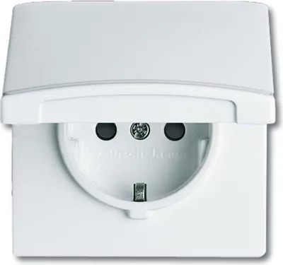 Immagine prodotto di Busch-Jaeger 20 EUGKB-34-101 Presa di corrente Safety+ con coperchio incernierato + protezione tattile avanzata per tutte le stagioni 44 bianco alpino