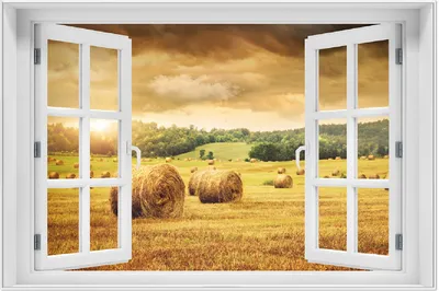 Produktbild von Wallario Wandbild mit Fenster-Illusion: Strohballen auf dem Feld bei Sonnenuntergang, Größe: 61 x 91,5 cm, Poster mit weißem Aluminiumrahmen