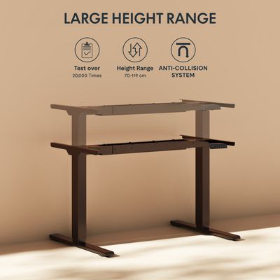 FlexiSpot E1 Pro Bureau Assis Debout avec 2 Moteurs,160x80