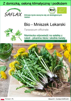 Zdjęcie produktu dla SAFLAX - Garden to go - Bio - Mniszek Lekarski - 400 Nasiona - Z doniczką, pokrywą klimatyczną i podłożem do uprawy - Taraxacum officinale