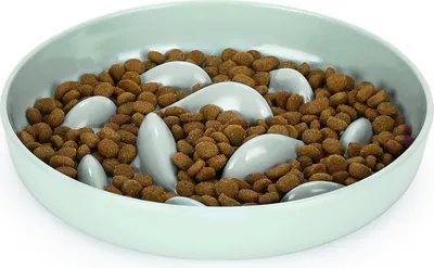 Immagine prodotto di IDOGCHEW Ciotola per gatti rotonda verde chiaro per alimentazione lenta