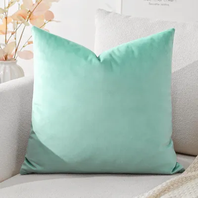Productafbeelding van Fluwelen kussenhoes, decoratieve kussens, sofa kussens, lendenkussen, decoratief kussenhoes, sofa, slaapkamer, 50 x 50 cm, aquagrondruin