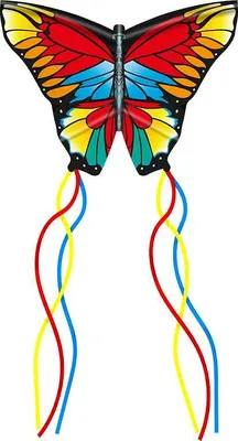 Image de Papillon Pop Up Dragon