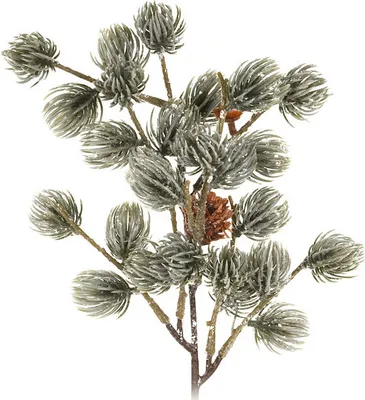 Immagine prodotto di Ramo di pino natalizio 36 cm con pigne, verde