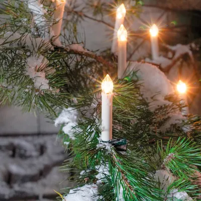 Close-up of Christmas tree lights shaped like candles, with snow on the branches.