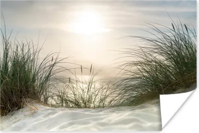 Produktbild von MuchoWow® Poster Sand - Gras - Sonne 180x120 cm - Fotoplakat