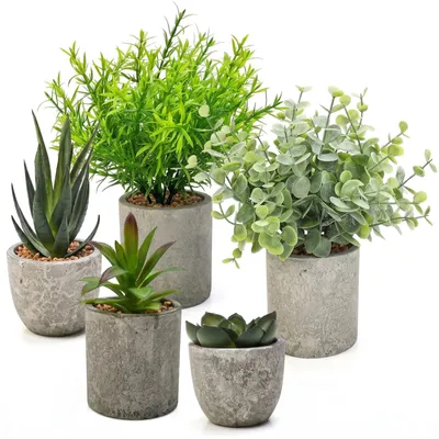 5 Kunstpflanzen, Schlangenpflanze, Eukalyptus, Aloe