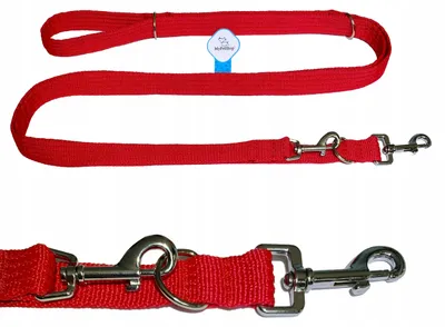 Produktbild von MyPetShop Trainingsleine Verstellbar 320 cm Gurtband 30 mm