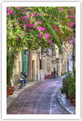 Produktbild von Poster - Poster ohne Rahmen - Straße dekoration blumen griechenland - 61x91,5 cm - Wand Bild - Wanddeko - Wandbilder - Kunstposter - Wandposter - Bilder - Kunstdruck - Wandbild - P2XPA61x91-2429