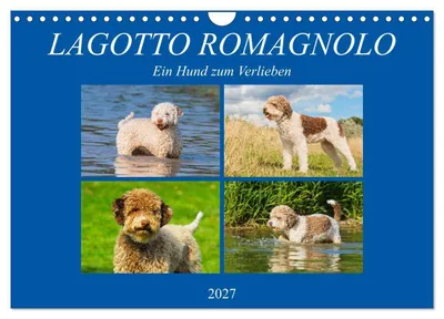 Produktbild von Lagotto Romagnolo - Ein Hund zum Verlieben (Wandkalender 2027 DIN A4 quer), CALVENDO Monatskalender