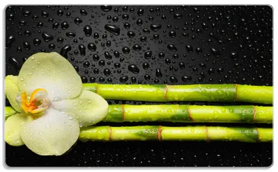 Produktbild von Wallario Frühstücksbrettchen aus Glas, je 14 x 23 cm, mit rutschfesten Füßen, Motiv Grüne Orchidee mit Bambus auf schwarz - Regentropfen